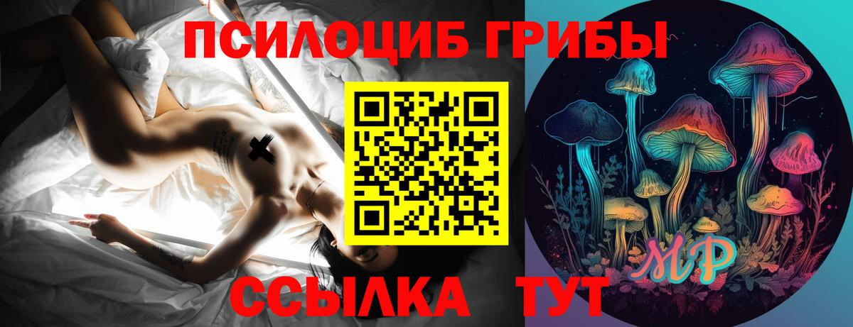 Псилоцибиновые грибы MAGIC MUSHROOMS Саяногорск